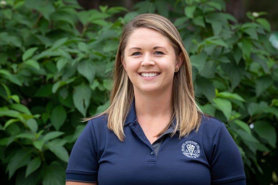 Dr. Molly Mills Veterinary Teaching Hospital